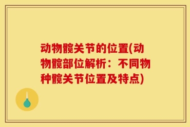 动物髋关节的位置(动物髋部位解析：不同物种髋关节位置及特点)