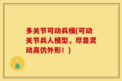 多关节可动兵模(可动关节兵人模型，尽显灵动高仿外形！)