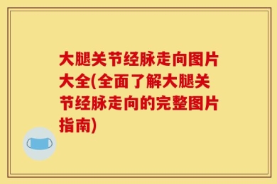 大腿关节经脉走向图片大全(全面了解大腿关节经脉走向的完整图片指南)