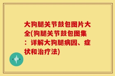 大狗腿关节鼓包图片大全(狗腿关节鼓包图集：详解大狗腿病因、症状和治疗法)