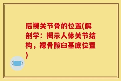 后裸关节骨的位置(解剖学：揭示人体关节结构，裸骨髋臼基底位置)