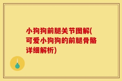 小狗狗前腿关节图解(可爱小狗狗的前腿骨骼详细解析)
