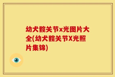 幼犬髋关节x光图片大全(幼犬髋关节X光照片集锦)