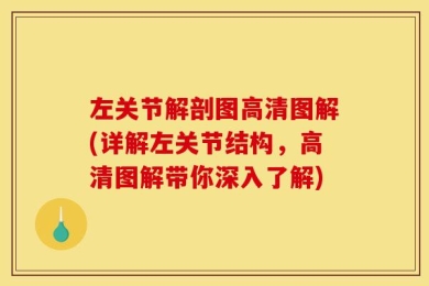 左关节解剖图高清图解(详解左关节结构，高清图解带你深入了解)