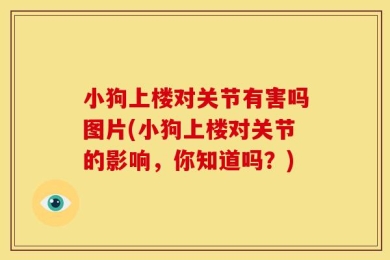 小狗上楼对关节有害吗图片(小狗上楼对关节的影响，你知道吗？)