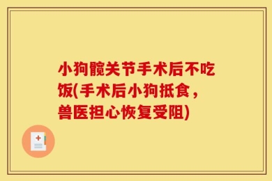 小狗髋关节手术后不吃饭(手术后小狗抵食，兽医担心恢复受阻)