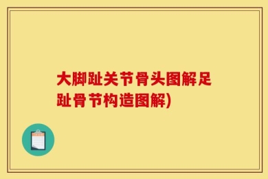 大脚趾关节骨头图解足趾骨节构造图解)