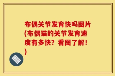 布偶关节发育快吗图片(布偶猫的关节发育速度有多快？看图了解！)