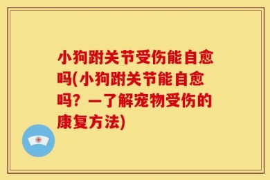 小狗跗关节受伤能自愈吗(小狗跗关节能自愈吗？—了解宠物受伤的康复方法)