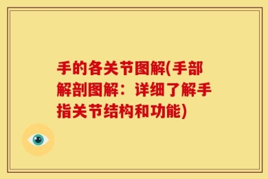 手的各关节图解(手部解剖图解：详细了解手指关节结构和功能)