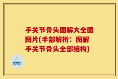 手关节骨头图解大全图图片(手部解析：图解手关节骨头全部结构)