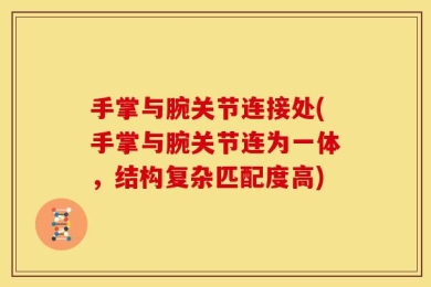 手掌与腕关节连接处(手掌与腕关节连为一体，结构复杂匹配度高)