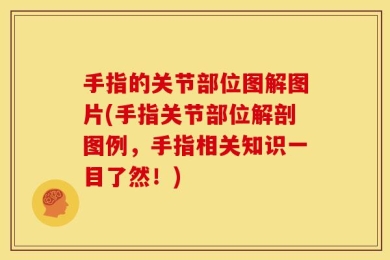 手指的关节部位图解图片(手指关节部位解剖图例，手指相关知识一目了然！)
