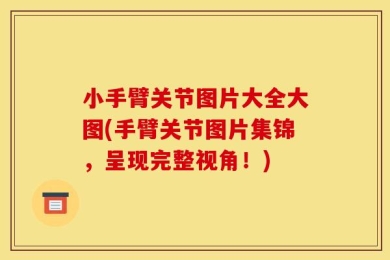 小手臂关节图片大全大图(手臂关节图片集锦，呈现完整视角！)