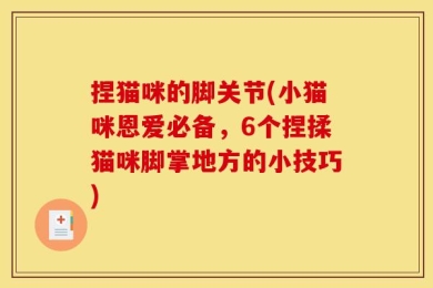 捏猫咪的脚关节(小猫咪恩爱必备，6个捏揉猫咪脚掌地方的小技巧)
