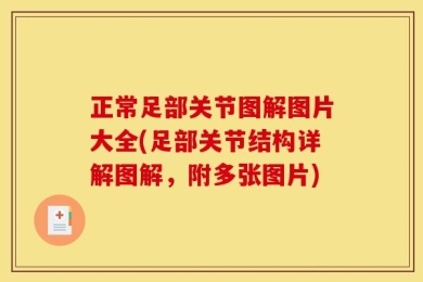 正常足部关节图解图片大全(足部关节结构详解图解，附多张图片)