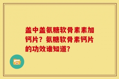 盖中盖氨糖软骨素素加钙片？氨糖软骨素钙片的功效谁知道？