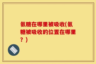 氨糖在哪里被吸收(氨糖被吸收的位置在哪里？)