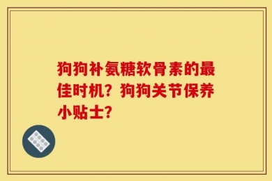 狗狗补氨糖软骨素的最佳时机？狗狗关节保养小贴士？
