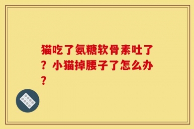 猫吃了氨糖软骨素吐了？小猫掉腰子了怎么办？