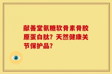 献善堂氨糖软骨素骨胶原蛋白肽？天然健康关节保护品？