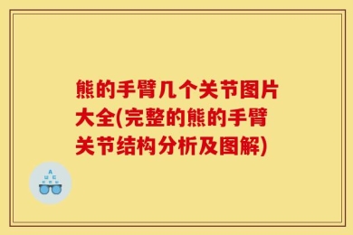 熊的手臂几个关节图片大全(完整的熊的手臂关节结构分析及图解)