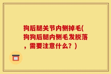 狗后腿关节内侧掉毛(狗狗后腿内侧毛发脱落，需要注意什么？)