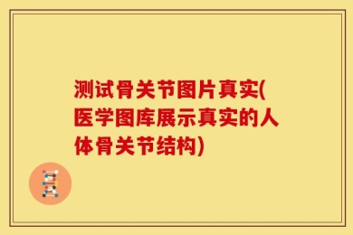 测试骨关节图片真实(医学图库展示真实的人体骨关节结构)