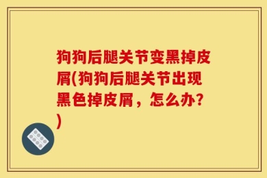 狗狗后腿关节变黑掉皮屑(狗狗后腿关节出现黑色掉皮屑，怎么办？)