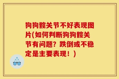 狗狗髋关节不好表现图片(如何判断狗狗髋关节有问题？跌倒或不稳定是主要表现！)