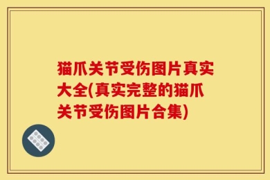 猫爪关节受伤图片真实大全(真实完整的猫爪关节受伤图片合集)