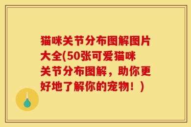 猫咪关节分布图解图片大全(50张可爱猫咪关节分布图解，助你更好地了解你的宠物！)