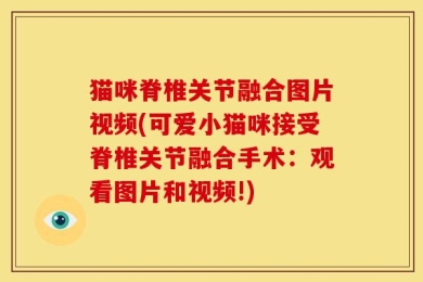 猫咪脊椎关节融合图片视频(可爱小猫咪接受脊椎关节融合手术：观看图片和视频!)