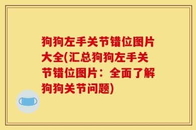 狗狗左手关节错位图片大全(汇总狗狗左手关节错位图片：全面了解狗狗关节问题)