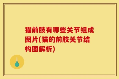 猫前肢有哪些关节组成图片(猫的前肢关节结构图解析)