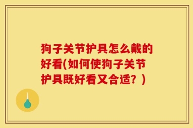 狗子关节护具怎么戴的好看(如何使狗子关节护具既好看又合适？)