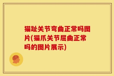 猫趾关节弯曲正常吗图片(猫爪关节屈曲正常吗的图片展示)