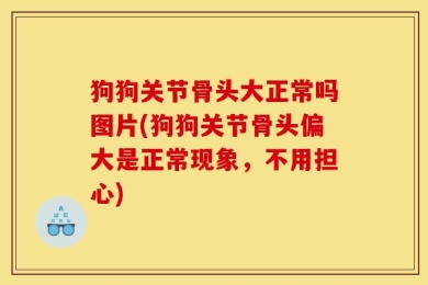 狗狗关节骨头大正常吗图片(狗狗关节骨头偏大是正常现象，不用担心)
