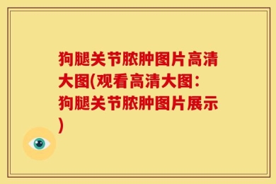 狗腿关节脓肿图片高清大图(观看高清大图：狗腿关节脓肿图片展示)