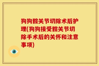 狗狗髋关节切除术后护理(狗狗接受髋关节切除手术后的关怀和注意事项)