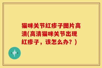 猫咪关节红疹子图片高清(高清猫咪关节出现红疹子，该怎么办？)