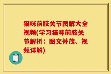 猫咪前肢关节图解大全视频(学习猫咪前肢关节解析：图文并茂、视频详解)