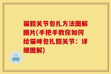 猫髋关节包扎方法图解图片(手把手教你如何给猫咪包扎髋关节：详细图解)