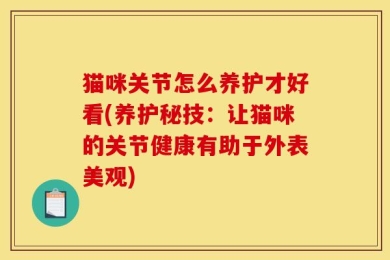 猫咪关节怎么养护才好看(养护秘技：让猫咪的关节健康有助于外表美观)