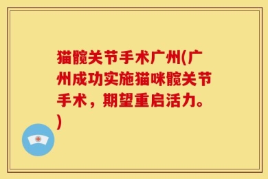 猫髋关节手术广州(广州成功实施猫咪髋关节手术，期望重启活力。)