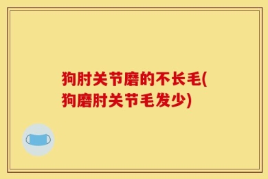 狗肘关节磨的不长毛(狗磨肘关节毛发少)