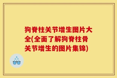 狗脊柱关节增生图片大全(全面了解狗脊柱骨关节增生的图片集锦)