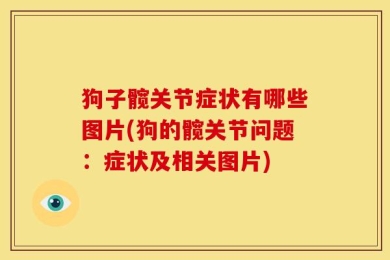 狗子髋关节症状有哪些图片(狗的髋关节问题：症状及相关图片)