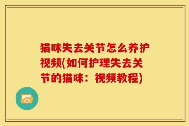 猫咪失去关节怎么养护视频(如何护理失去关节的猫咪：视频教程)