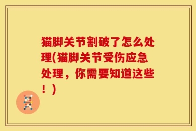 猫脚关节割破了怎么处理(猫脚关节受伤应急处理，你需要知道这些！)